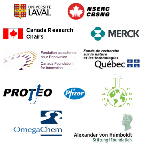 Université Laval, Conseil de recherches en sciences naturelles et génie du Canada (CRSNG), Chaires de recherches du Canada, Merck, Fondation canadienne pour l'innovation, Fonds de recherche sur la nature et les technologies (Québec), PROTEO, Pfizer et Centre en chimie verte et catalyse (CCVC).